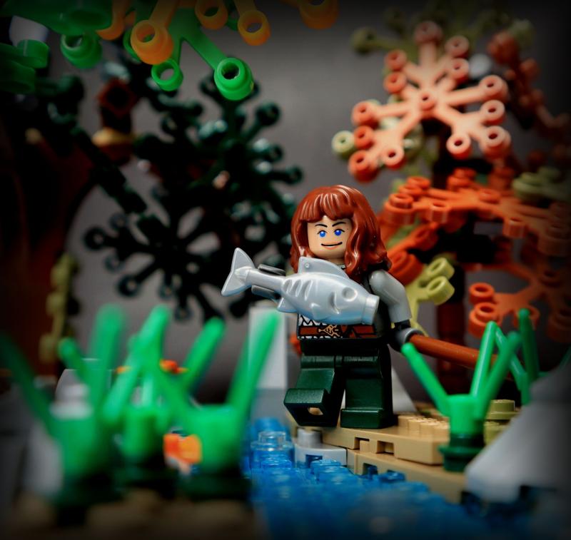 Fishing viking